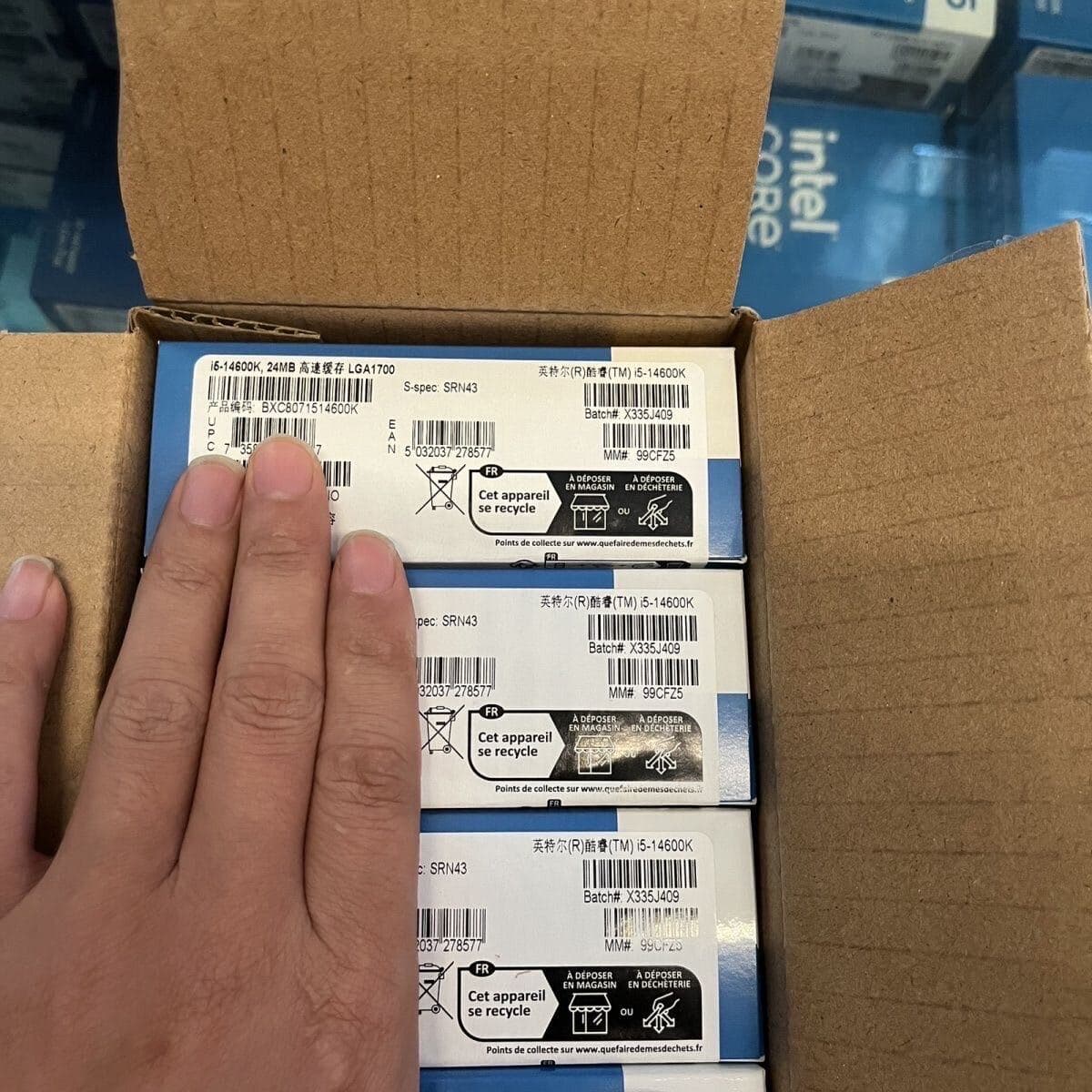 Intel Core i5-14600K 14C 20T Processors Support Gigabyte AORUS PRO X